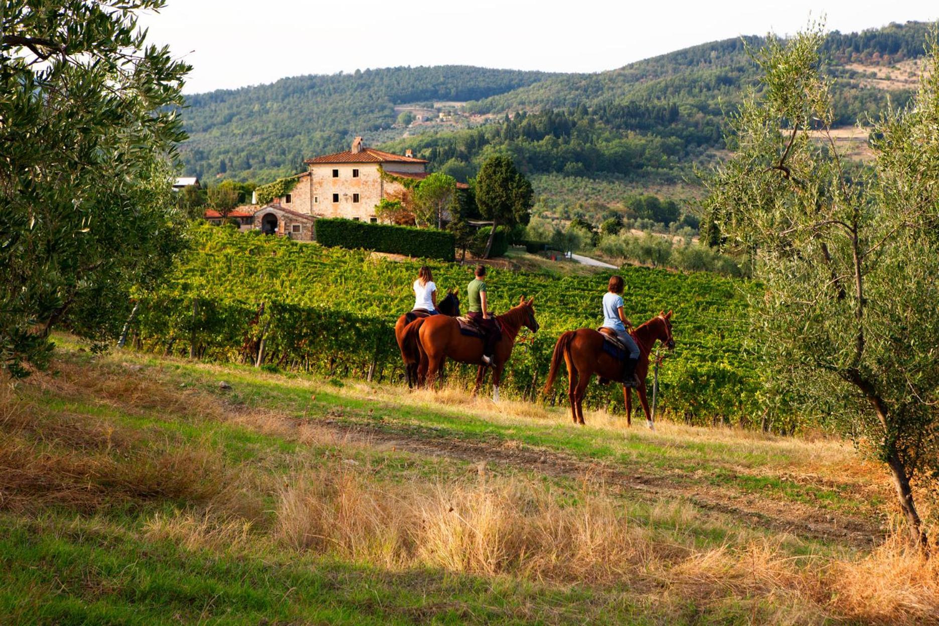 Agriturismo Fattoria Lavacchio Pontassieve Buitenkant foto